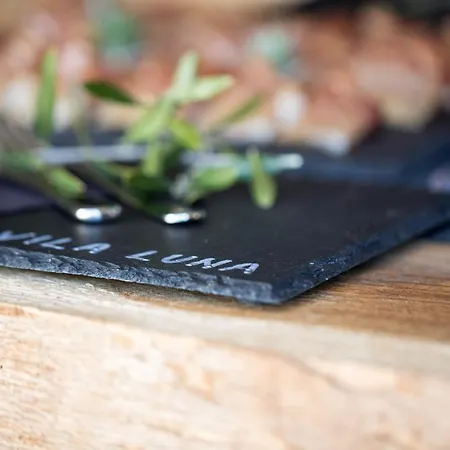 Вилла Luna Zupanje